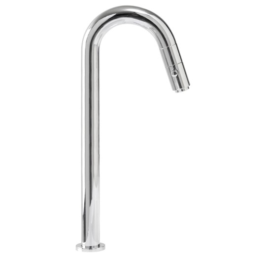 GME grifo_02 alto.jpg